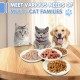 Galerie SV Set of 6 Cat Feeding Bowls - Cat Bowl Set - Ceramic Cat Bowl - Raised Cat Bowl - Cat Feeding Bowl - White (Fishbone Pattern) Galerie SV Set of 6 Cat Feeding Bowls - Cat Bowl Set - Ceramic Cat Bowl - Raised Cat Bowl - Cat Feeding Bowl - White (Fishbone Pattern)