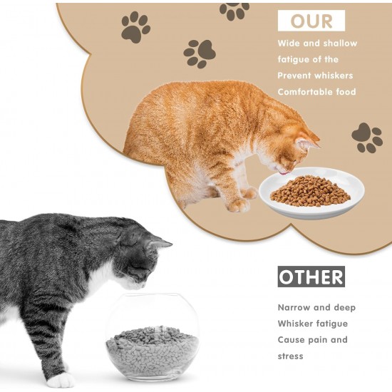 Galerie SV Set of 6 Cat Feeding Bowls - Cat Bowl Set - Ceramic Cat Bowl - Raised Cat Bowl - Cat Feeding Bowl - White (Fishbone Pattern) Galerie SV Set of 6 Cat Feeding Bowls - Cat Bowl Set - Ceramic Cat Bowl - Raised Cat Bowl - Cat Feeding Bowl - White (Fishbone Pattern)