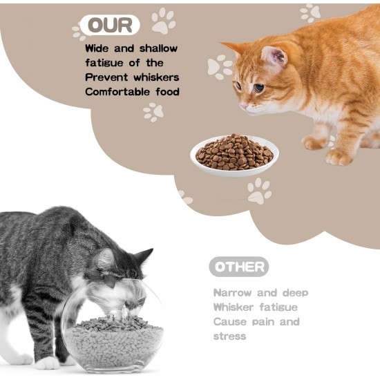 Galerie SV Set of 6 Cat Feeding Bowls - Cat Bowl Set - Ceramic Cat Bowl - Raised Cat Bowl - Cat Feeding Bowl - White (Fishbone Pattern) Galerie SV Set of 6 Cat Feeding Bowls - Cat Bowl Set - Ceramic Cat Bowl - Raised Cat Bowl - Cat Feeding Bowl - White (Fishbone Pattern)