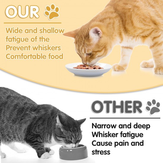 Galerie SV Set of 6 Cat Feeding Bowls - Cat Bowl Set - Ceramic Cat Bowl - Raised Cat Bowl - Cat Feeding Bowl - White (Fishbone Pattern) Galerie SV Set of 6 Cat Feeding Bowls - Cat Bowl Set - Ceramic Cat Bowl - Raised Cat Bowl - Cat Feeding Bowl - White (Fishbone Pattern)