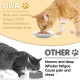 Galerie SV Set of 6 Cat Feeding Bowls - Cat Bowl Set - Ceramic Cat Bowl - Raised Cat Bowl - Cat Feeding Bowl - White (Fishbone Pattern) Galerie SV Set of 6 Cat Feeding Bowls - Cat Bowl Set - Ceramic Cat Bowl - Raised Cat Bowl - Cat Feeding Bowl - White (Fishbone Pattern)