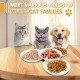 Galerie SV Set of 6 Cat Feeding Bowls - Cat Bowl Set - Ceramic Cat Bowl - Raised Cat Bowl - Cat Feeding Bowl - White (Fishbone Pattern) Galerie SV Set of 6 Cat Feeding Bowls - Cat Bowl Set - Ceramic Cat Bowl - Raised Cat Bowl - Cat Feeding Bowl - White (Fishbone Pattern)