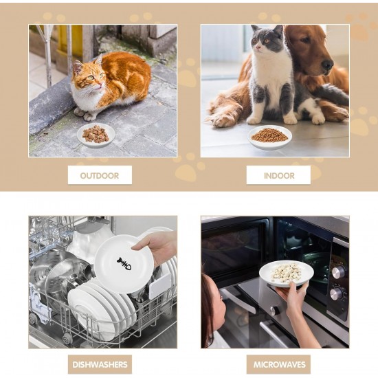 Galerie SV Set of 6 Cat Feeding Bowls - Cat Bowl Set - Ceramic Cat Bowl - Raised Cat Bowl - Cat Feeding Bowl - White (Fishbone Pattern) Galerie SV Set of 6 Cat Feeding Bowls - Cat Bowl Set - Ceramic Cat Bowl - Raised Cat Bowl - Cat Feeding Bowl - White (Fishbone Pattern)