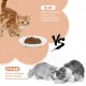 Galerie SV Set of 6 Cat Feeding Bowls - Cat Bowl Set - Ceramic Cat Bowl - Raised Cat Bowl - Cat Feeding Bowl - White (Fishbone Pattern) Galerie SV Set of 6 Cat Feeding Bowls - Cat Bowl Set - Ceramic Cat Bowl - Raised Cat Bowl - Cat Feeding Bowl - White (Fishbone Pattern)