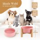HCHLQLZ Raised Feeding Bowl for Cats Dogs and Puppies with Bowl Stand - Ceramic Dog Bowl Set of 2 for Cats Dogs Puppy Food and Water