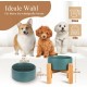 HCHLQLZ Raised Feeding Bowl for Cats Dogs and Puppies with Bowl Stand - Ceramic Dog Bowl Set of 2 for Cats Dogs Puppy Food and Water