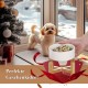 HCHLQLZ Raised Feeding Bowl for Cats Dogs and Puppies with Bowl Stand - Ceramic Dog Bowl Set of 2 for Cats Dogs Puppy Food and Water