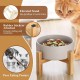 HCHLQLZ Raised Feeding Bowl for Cats Dogs and Puppies with Bowl Stand - Ceramic Dog Bowl Set of 2 for Cats Dogs Puppy Food and Water