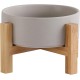 HCHLQLZ Raised Feeding Bowl for Cats Dogs and Puppies with Bowl Stand - Ceramic Dog Bowl Set of 2 for Cats Dogs Puppy Food and Water