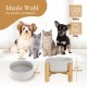 HCHLQLZ Raised Feeding Bowl for Cats Dogs and Puppies with Bowl Stand - Ceramic Dog Bowl Set of 2 for Cats Dogs Puppy Food and Water