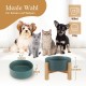 HCHLQLZ Raised Feeding Bowl for Cats Dogs and Puppies with Bowl Stand - Ceramic Dog Bowl Set of 2 for Cats Dogs Puppy Food and Water