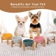 HCHLQLZ Raised Feeding Bowl for Cats Dogs and Puppies with Bowl Stand - Ceramic Dog Bowl Set of 2 for Cats Dogs Puppy Food and Water