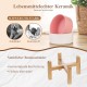HCHLQLZ Raised Feeding Bowl for Cats Dogs and Puppies with Bowl Stand - Ceramic Dog Bowl Set of 2 for Cats Dogs Puppy Food and Water