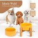 HCHLQLZ Raised Feeding Bowl for Cats Dogs and Puppies with Bowl Stand - Ceramic Dog Bowl Set of 2 for Cats Dogs Puppy Food and Water