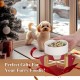 HCHLQLZ Raised Feeding Bowl for Cats Dogs and Puppies with Bowl Stand - Ceramic Dog Bowl Set of 2 for Cats Dogs Puppy Food and Water