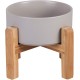 HCHLQLZ Raised Feeding Bowl for Cats Dogs and Puppies with Bowl Stand - Ceramic Dog Bowl Set of 2 for Cats Dogs Puppy Food and Water