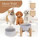 HCHLQLZ Raised Feeding Bowl for Cats Dogs and Puppies with Bowl Stand - Ceramic Dog Bowl Set of 2 for Cats Dogs Puppy Food and Water