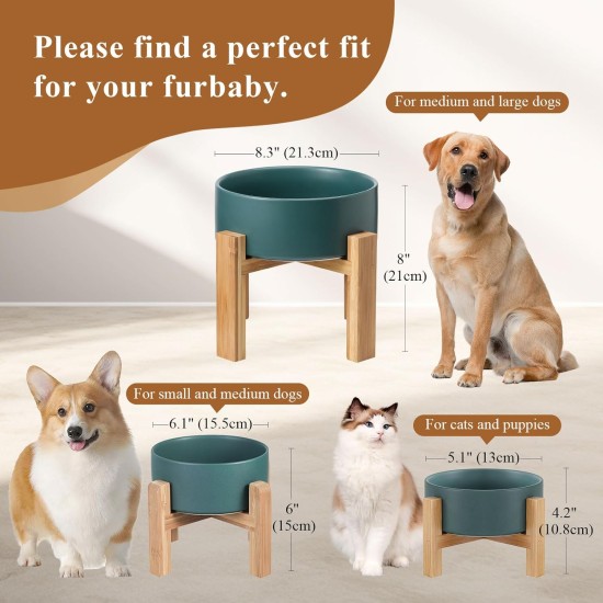 HCHLQLZ Raised Feeding Bowl for Cats Dogs and Puppies with Bowl Stand - Ceramic Dog Bowl Set of 2 for Cats Dogs Puppy Food and Water HCHLQLZ Raised Feeding Bowl for Cats Dogs and Puppies with Bowl Stand - Ceramic Dog Bowl Set of 2 for Cats Dogs Puppy Food and Water