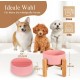 HCHLQLZ Raised Feeding Bowl for Cats Dogs and Puppies with Bowl Stand - Ceramic Dog Bowl Set of 2 for Cats Dogs Puppy Food and Water