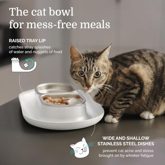 Hepper NomNom Leak-proof Raised Cat Bowls for Food and Water - Whiskers Relief Cat Bowl + Raised Cat Food Bowls: A Safe Cat Bowl for Messy Cats - Stainless Steel Hepper NomNom Leak-proof Raised Cat Bowls for Food and Water - Whiskers Relief Cat Bowl + Raised Cat Food Bowls: A Safe Cat Bowl for Messy Cats - Stainless Steel