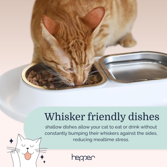 Hepper NomNom Leak-proof Raised Cat Bowls for Food and Water - Whiskers Relief Cat Bowl + Raised Cat Food Bowls: A Safe Cat Bowl for Messy Cats - Stainless Steel Hepper NomNom Leak-proof Raised Cat Bowls for Food and Water - Whiskers Relief Cat Bowl + Raised Cat Food Bowls: A Safe Cat Bowl for Messy Cats - Stainless Steel