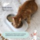 Hepper NomNom Leak-proof Raised Cat Bowls for Food and Water - Whiskers Relief Cat Bowl + Raised Cat Food Bowls: A Safe Cat Bowl for Messy Cats - Stainless Steel Hepper NomNom Leak-proof Raised Cat Bowls for Food and Water - Whiskers Relief Cat Bowl + Raised Cat Food Bowls: A Safe Cat Bowl for Messy Cats - Stainless Steel