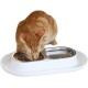 Hepper NomNom Leak-proof Raised Cat Bowls for Food and Water - Whiskers Relief Cat Bowl + Raised Cat Food Bowls: A Safe Cat Bowl for Messy Cats - Stainless Steel Hepper NomNom Leak-proof Raised Cat Bowls for Food and Water - Whiskers Relief Cat Bowl + Raised Cat Food Bowls: A Safe Cat Bowl for Messy Cats - Stainless Steel