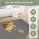 Homegroove 2Pcs Silicone Cat Litter Box Mat, 86.3x55CM Large Kitty Litter Box Mat for Indoor Cats, Litter Trapping (Grey, 86.3x55.8x0.1 Zentimeter) Homegroove 2Pcs Silicone Cat Litter Box Mat, 86.3x55CM Large Kitty Litter Box Mat for Indoor Cats, Litter Trapping (Grey, 86.3x55.8x0.1 Zentimeter)
