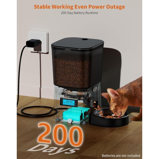 HoneyGuaridan Automatic Cat Feeder 2 Bowls, Distribute Food for 2 Cats Evenly, 3.5 L Automatic Feeder for Cats and Dogs, Stainless Steel Bowl, Voice Recording, 1-6 Meals/Day HoneyGuaridan Automatic Cat Feeder 2 Bowls, Distribute Food for 2 Cats Evenly, 3.5 L Automatic Feeder for Cats and Dogs, Stainless Steel Bowl, Voice Recording, 1-6 Meals/Day