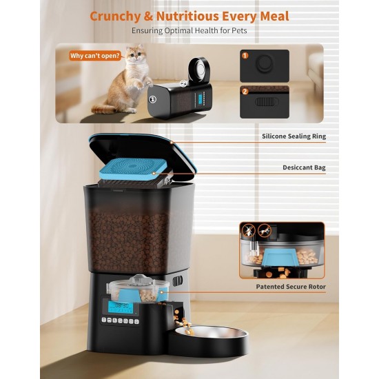 HoneyGuaridan Automatic Cat Feeder with Stainless Steel Bowl and Slow Feeding Bowl, 3.5 L Automatic Feeder for Cats and Dogs, 10s Voice Recording, 1-6 Meals per Day (Double Power Supply) HoneyGuaridan Automatic Cat Feeder with Stainless Steel Bowl and Slow Feeding Bowl, 3.5 L Automatic Feeder for Cats and Dogs, 10s Voice Recording, 1-6 Meals per Day (Double Power Supply)