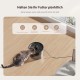 IMIPAW Automatic Cat and Cat Fountain, Timed Dry Food Dispenser for Pets, Programmable Portion Control, 1-6 Meals a Day, Cat Fountain for Drinking with Filter IMIPAW Automatic Cat and Cat Fountain, Timed Dry Food Dispenser for Pets, Programmable Portion Control, 1-6 Meals a Day, Cat Fountain for Drinking with Filter