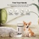 JUNSPOW 4L Cat Drinker with Stainless Steel Bowl, Automatic Feeding Gravity Pet Water Dispenser for Dogs, Large Drinking Bottles Bowls for Cats/Dogs - White JUNSPOW 4L Cat Drinker with Stainless Steel Bowl, Automatic Feeding Gravity Pet Water Dispenser for Dogs, Large Drinking Bottles Bowls for Cats/Dogs - White