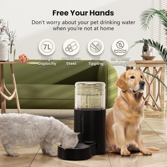 JUNSPOW 4L Cat Drinker with Stainless Steel Bowl, Automatic Feeding Gravity Pet Water Dispenser for Dogs, Large Drinking Bottles Bowls for Cats/Dogs - White JUNSPOW 4L Cat Drinker with Stainless Steel Bowl, Automatic Feeding Gravity Pet Water Dispenser for Dogs, Large Drinking Bottles Bowls for Cats/Dogs - White