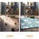 JanYoo Bowl Mat, Cat Feeding Bowl Mat, 50 x 35 cm, Waterproof Pet Feeding Mats, Non-Slip Mat, Cat Bowl, Feeding Mat, Cat Food, Feeding Bowl Mat (Grey) JanYoo Bowl Mat, Cat Feeding Bowl Mat, 50 x 35 cm, Waterproof Pet Feeding Mats, Non-Slip Mat, Cat Bowl, Feeding Mat, Cat Food, Feeding Bowl Mat (Grey)