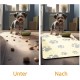 JanYoo Bowl Mat, Cat Feeding Bowl Mat, 50 x 35 cm, Waterproof Pet Feeding Mats, Non-Slip Mat, Cat Bowl, Feeding Mat, Cat Food, Feeding Bowl Mat (Grey) JanYoo Bowl Mat, Cat Feeding Bowl Mat, 50 x 35 cm, Waterproof Pet Feeding Mats, Non-Slip Mat, Cat Bowl, Feeding Mat, Cat Food, Feeding Bowl Mat (Grey)