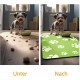 JanYoo Bowl Mat, Cat Feeding Bowl Mat, 50 x 35 cm, Waterproof Pet Feeding Mats, Non-Slip Mat, Cat Bowl, Feeding Mat, Cat Food, Feeding Bowl Mat (Green) JanYoo Bowl Mat, Cat Feeding Bowl Mat, 50 x 35 cm, Waterproof Pet Feeding Mats, Non-Slip Mat, Cat Bowl, Feeding Mat, Cat Food, Feeding Bowl Mat (Green)