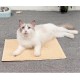 KINGCOO Cat Litter Mat, Waterproof Cat Litter Box, Throw Mat, Catcher, Trapper Table, Food Mat for Dogs, Cats, PVC, 30 x 40 cm (Beige) KINGCOO Cat Litter Mat, Waterproof Cat Litter Box, Throw Mat, Catcher, Trapper Table, Food Mat for Dogs, Cats, PVC, 30 x 40 cm (Beige)