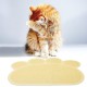 KINGCOO Dog Mat Pad, Cat Litter Tray Mattress, Pet Place Mat, Table Mat for Dogs and Cats, 30 x 40 cm, Small Elastic PVC Paw Design (Grey) KINGCOO Dog Mat Pad, Cat Litter Tray Mattress, Pet Place Mat, Table Mat for Dogs and Cats, 30 x 40 cm, Small Elastic PVC Paw Design (Grey)