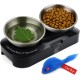 KatSupreme Tilted Cat Food Bowls - Raised Cat Food Bowls, Anti Vomiting Cat Bowl Set, Stainless Steel Cat Bowls with Stand, Orthopaedic Cat Bowl, Elevated Cat Bowls Set KatSupreme Tilted Cat Food Bowls - Raised Cat Food Bowls, Anti Vomiting Cat Bowl Set, Stainless Steel Cat Bowls with Stand, Orthopaedic Cat Bowl, Elevated Cat Bowls Set