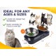KatSupreme Tilted Cat Food Bowls - Raised Cat Food Bowls, Anti Vomiting Cat Bowl Set, Stainless Steel Cat Bowls with Stand, Orthopaedic Cat Bowl, Elevated Cat Bowls Set KatSupreme Tilted Cat Food Bowls - Raised Cat Food Bowls, Anti Vomiting Cat Bowl Set, Stainless Steel Cat Bowls with Stand, Orthopaedic Cat Bowl, Elevated Cat Bowls Set