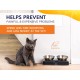KatSupreme Tilted Cat Food Bowls - Raised Cat Food Bowls, Anti Vomiting Cat Bowl Set, Stainless Steel Cat Bowls with Stand, Orthopaedic Cat Bowl, Elevated Cat Bowls Set KatSupreme Tilted Cat Food Bowls - Raised Cat Food Bowls, Anti Vomiting Cat Bowl Set, Stainless Steel Cat Bowls with Stand, Orthopaedic Cat Bowl, Elevated Cat Bowls Set