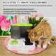 Kathson Automatic Cat Food and Water Dispenser with Large Capacity, All-in-One Gravity Feeder for Small Dogs, Puppies, Cats, Pets (White) Kathson Automatic Cat Food and Water Dispenser with Large Capacity, All-in-One Gravity Feeder for Small Dogs, Puppies, Cats, Pets (White)
