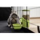 Kerbl Pet Feeder 1000 ml, for Rabbits and Small Animals, Grid Attachment, Automatic Slipping, Robust, Green, Transparent, 11 x 20 x 20 cm Kerbl Pet Feeder 1000 ml, for Rabbits and Small Animals, Grid Attachment, Automatic Slipping, Robust, Green, Transparent, 11 x 20 x 20 cm