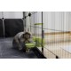 Kerbl Pet Feeder 1000 ml, for Rabbits and Small Animals, Grid Attachment, Automatic Slipping, Robust, Green, Transparent, 11 x 20 x 20 cm Kerbl Pet Feeder 1000 ml, for Rabbits and Small Animals, Grid Attachment, Automatic Slipping, Robust, Green, Transparent, 11 x 20 x 20 cm