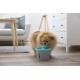 Kerbl Pet Pet Fountain 1.6 Litre Grey/Blue Kerbl Pet Pet Fountain 1.6 Litre Grey/Blue