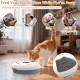 Lafisun Automatic Cat Wet Food, 6 Meals Wet Automatic Feeder for Cats with 2 Ice Packs, Programmable Timer, Cat Food Automatic Wet Food Lafisun Automatic Cat Wet Food, 6 Meals Wet Automatic Feeder for Cats with 2 Ice Packs, Programmable Timer, Cat Food Automatic Wet Food