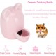 Lgel Ceramic Water Bottle, Hamster Water Bottle, Ceramic White, Automatic Water Dispenser Hamster Ceramic, Hamster Water Bottle, Ceramic, Mute for Hedgehog, Rabbit, Totoro, Cat, 300 ml