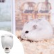 Lgel Ceramic Water Bottle, Hamster Water Bottle, Ceramic White, Automatic Water Dispenser Hamster Ceramic, Hamster Water Bottle, Ceramic, Mute for Hedgehog, Rabbit, Totoro, Cat, 300 ml
