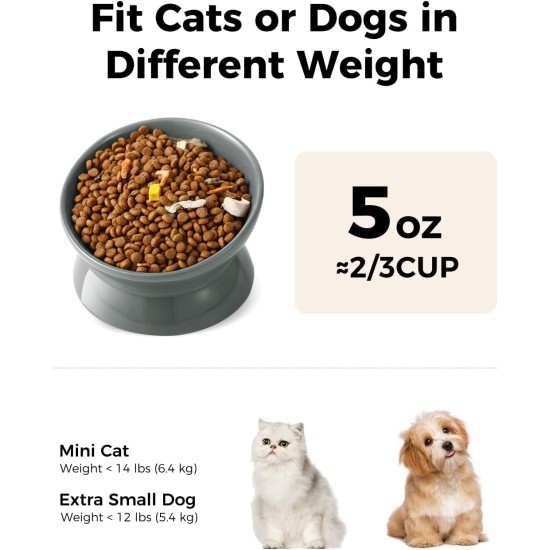 LoeJan Elevated Cat Bowl 5oz Ceramic Raised and Tilted Water Bowl, Anti Vomiting and Protect Pet Spine, Cat Bowl for Small Dogs, Thick Cats, Kittens LoeJan Elevated Cat Bowl 5oz Ceramic Raised and Tilted Water Bowl, Anti Vomiting and Protect Pet Spine, Cat Bowl for Small Dogs, Thick Cats, Kittens