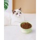 LoeJan Elevated Cat Bowl 5oz Ceramic Raised and Tilted Water Bowl, Anti Vomiting and Protect Pet Spine, Cat Bowl for Small Dogs, Thick Cats, Kittens LoeJan Elevated Cat Bowl 5oz Ceramic Raised and Tilted Water Bowl, Anti Vomiting and Protect Pet Spine, Cat Bowl for Small Dogs, Thick Cats, Kittens